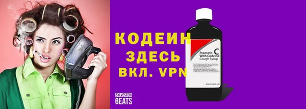 эйфоретик Гусь-Хрустальный