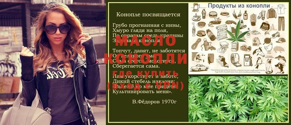 эйфоретик Гусь-Хрустальный