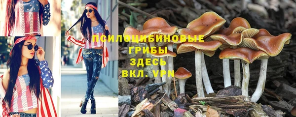 MDMA Premium VHQ Гусиноозёрск