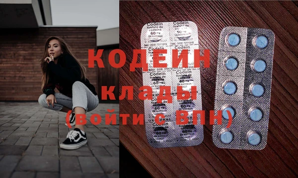 эйфоретик Гусь-Хрустальный