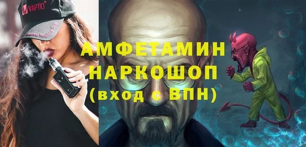 эйфоретик Гусь-Хрустальный