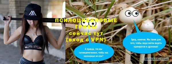 мдма Гусев