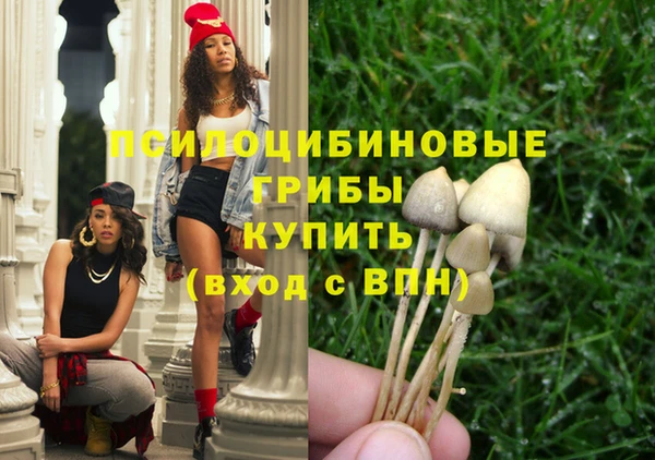метамфетамин Медногорск