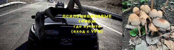 эйфоретик Гусь-Хрустальный